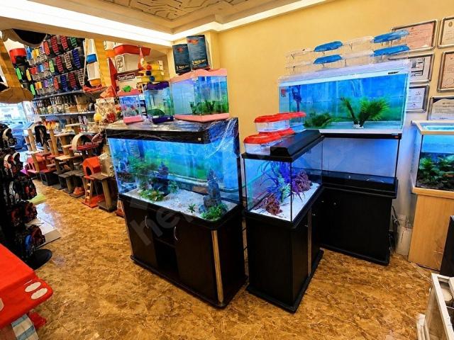 Kadiköy, İstanbul içerisinde satılık mülk