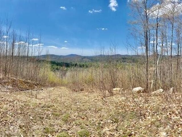 Land for sale in Hiram, Maine