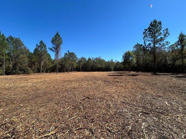 Land for sale in Ashford, Alabama