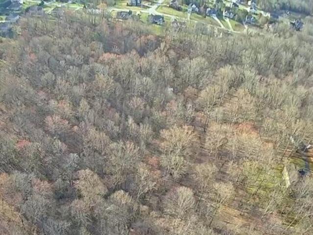 Land for sale in Forest
