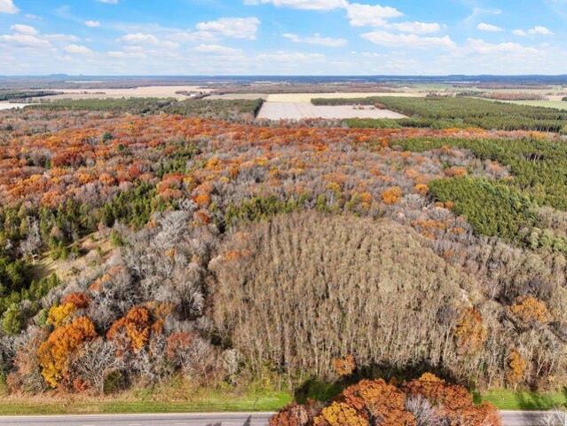 Land for sale in Grand Marsh, Wisconsin