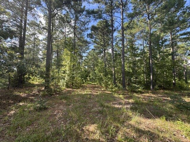 Land for sale in Edgefield Land for sale in Edgefield