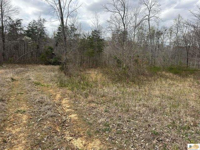 Land for sale in Tompkinsville, Kentucky