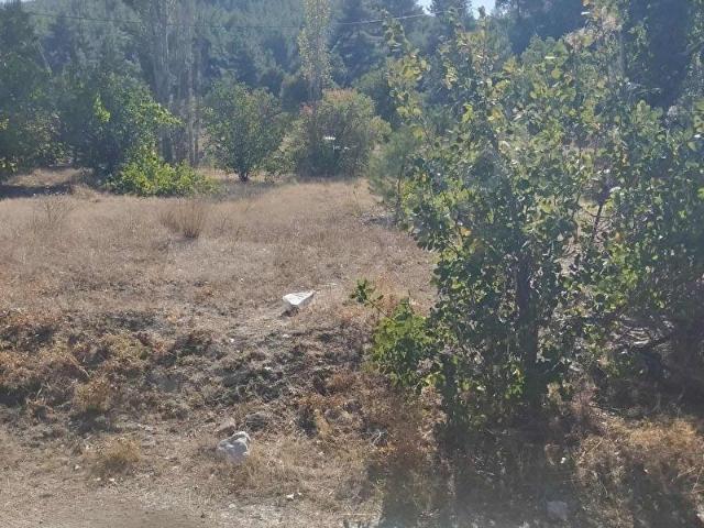 Acipayam, Denizli içerisinde satılık Arsa