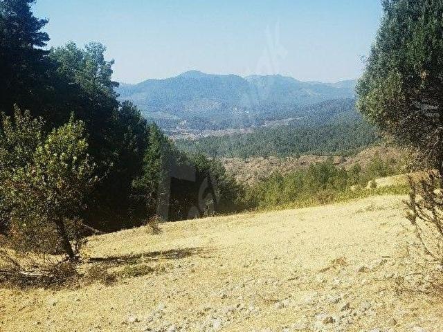 Karaismailler, Acıpayam içerisinde satılık mülk