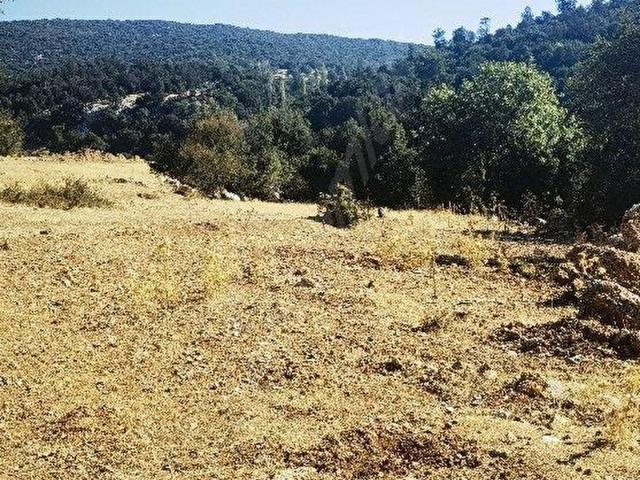 Acipayam, Denizli içerisinde satılık mülk