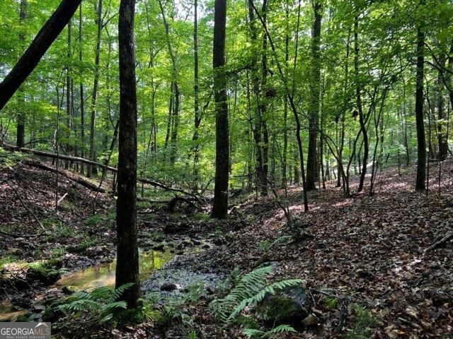 Land for sale in Blairsville