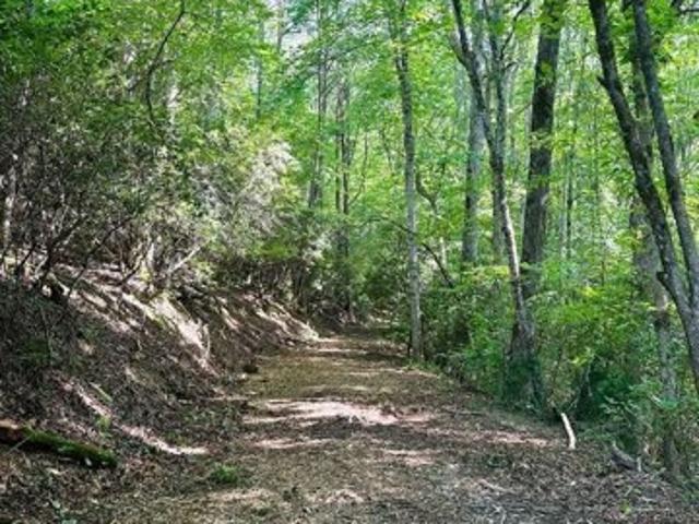 Land for sale in Hayesville