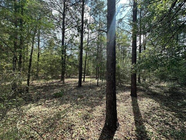 Land for sale in Crestview Land for sale in Crestview