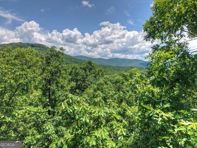 Land for sale in Blue Ridge