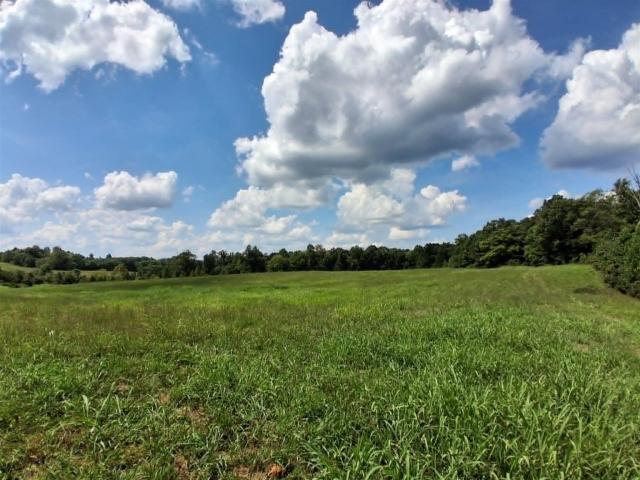 Land for sale in Edmonton, Kentucky