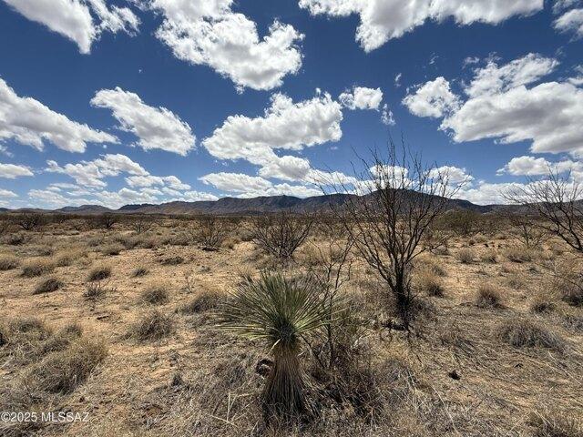 Land for sale in Pearce, Arizona