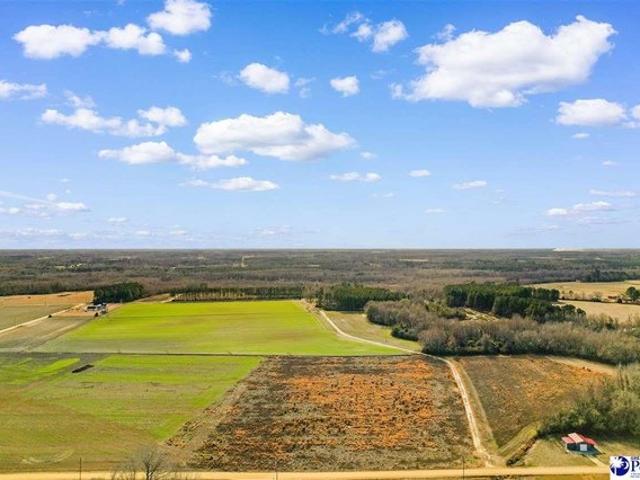 Land for sale in Dillon, South Carolina