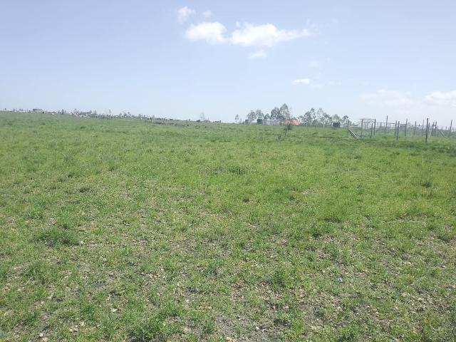 Land for sale in Kitengela, Kajiado