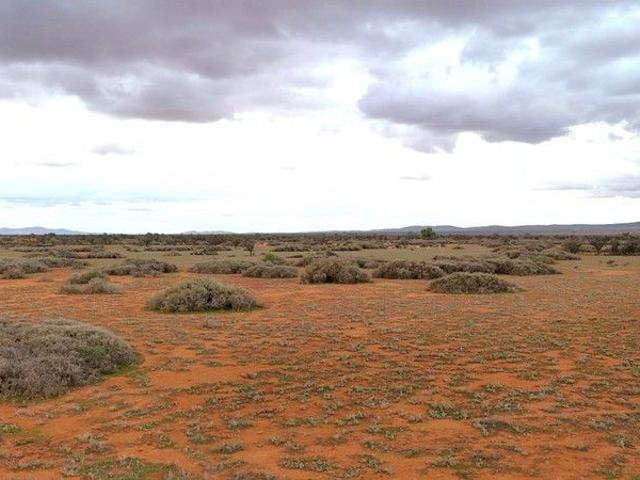 Cottage for sale in Orroroo, South Australia