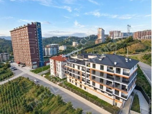 Orhangazi, Düzce Merkez içerisinde kiralık mülk