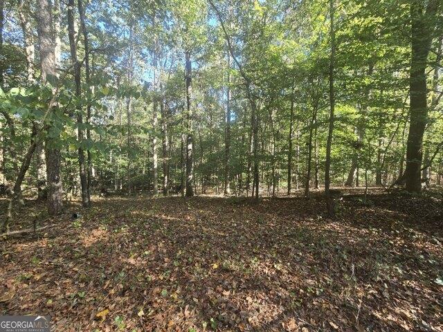 Land for sale in Jefferson, Georgia