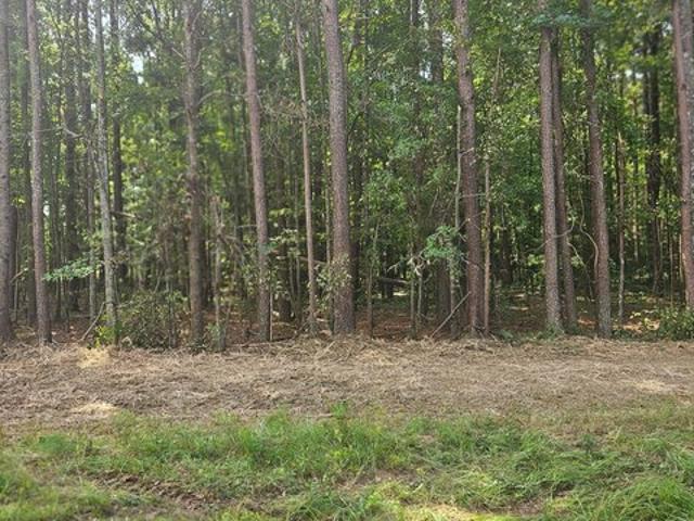 Land for sale in Rutledge, Georgia
