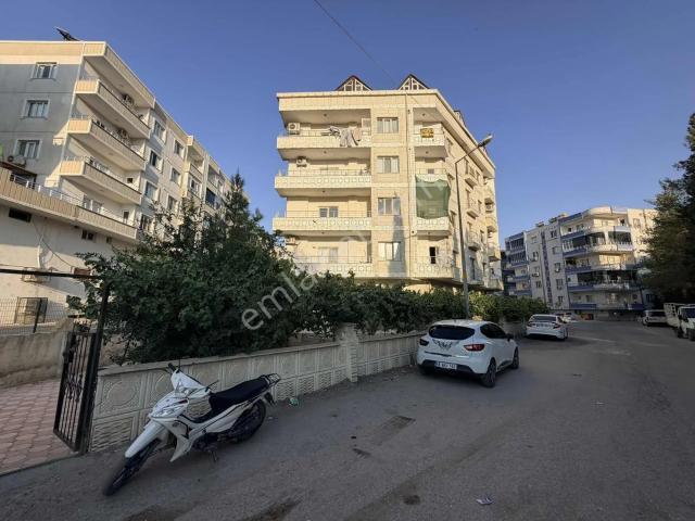Nusaybin, Mardin içerisinde kiralık mülk
