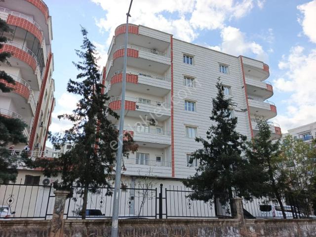 Nusaybin, Mardin içerisinde satılık mülk