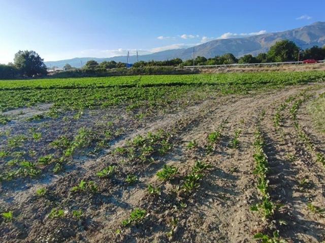 Erzincan Merkez, Erzincan içerisinde satılık Dükkan