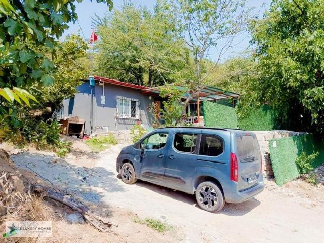 Acarlar Mahallesi, Beykoz içerisinde kiralık Villa