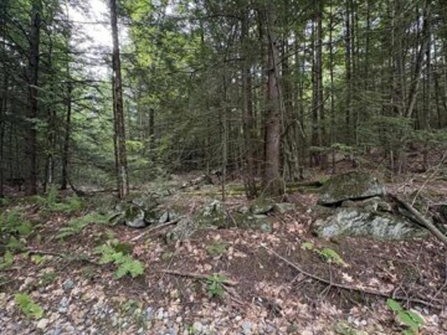 Land for sale in New Hampshire