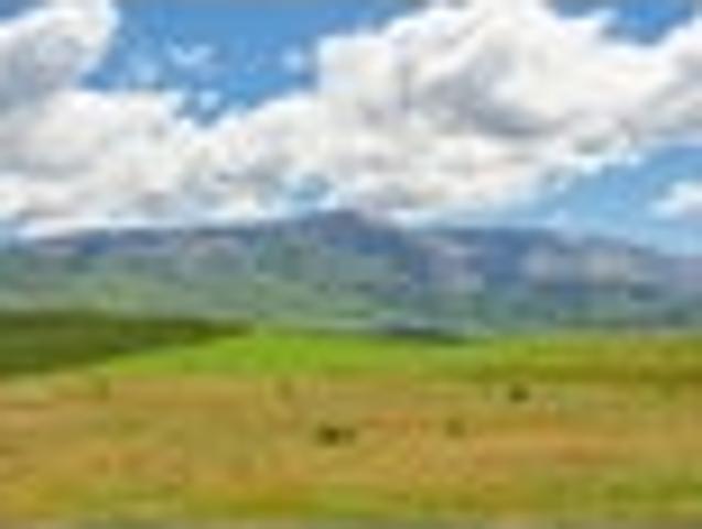 Land for sale in Otakou