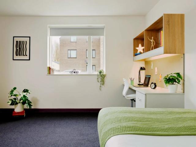 Room for rent in Canley, West Midlands
