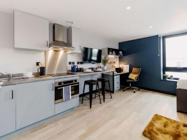 Studio for rent in Newtown, Falcon Lodge