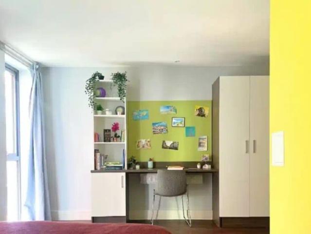Room for rent in Lansdowne, Springbourne
