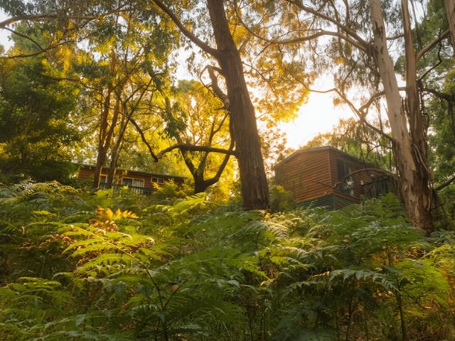Property for sale in Deans Marsh, Victoria