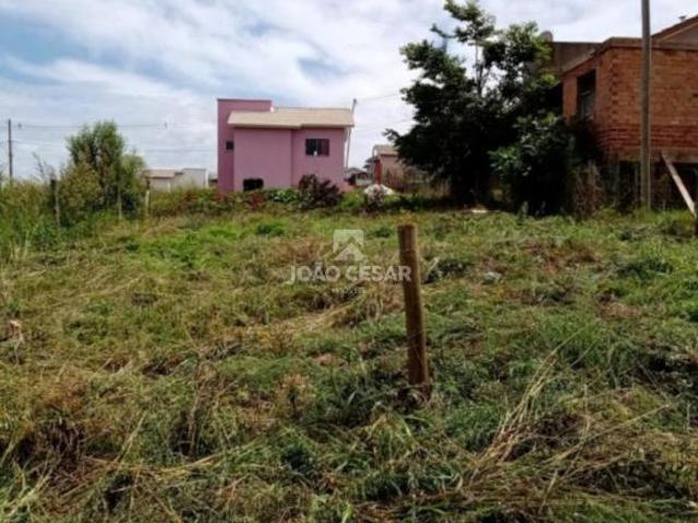 Terreno venda em Região Geográfica Imediata de Lagoa Vermelha, Lagoa Vermelha