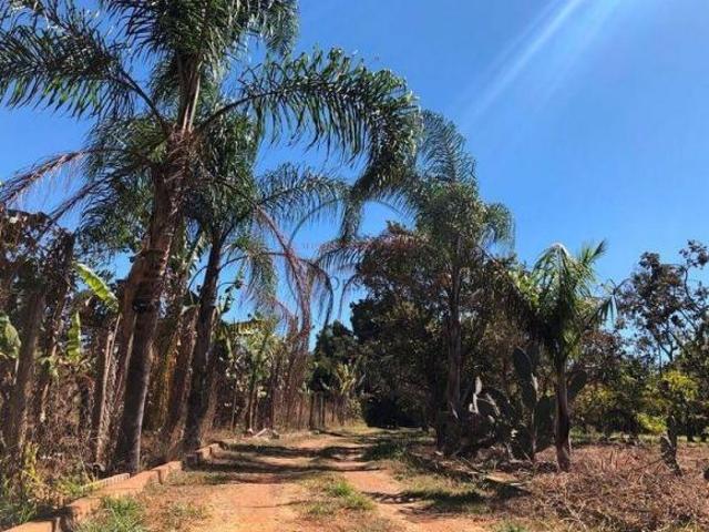 Sítio e chácara venda em Região Geográfica Imediata do Distrito Federal, Região Integrada de Desenvolvimento do Distrito Federal e Entorno