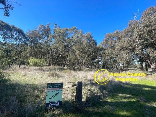 Land for sale in Berrigan, New South Wales