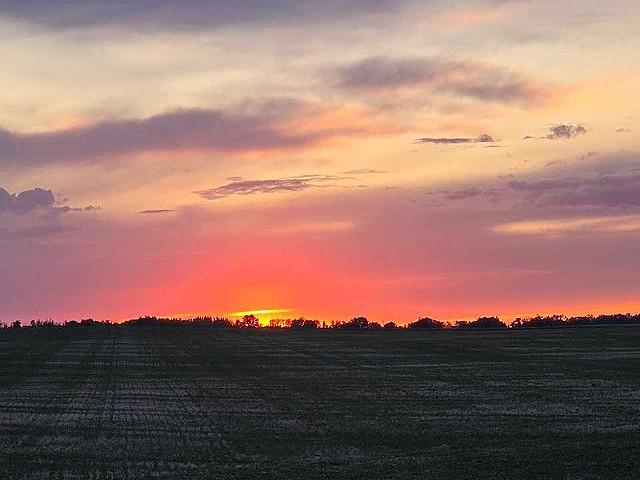 Land for sale in Wedgewood, Alberta