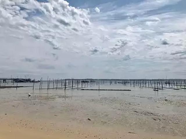 Appartement vente à Arcachon