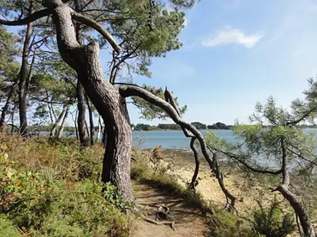 Appartement vente à Lorient, Bretagne