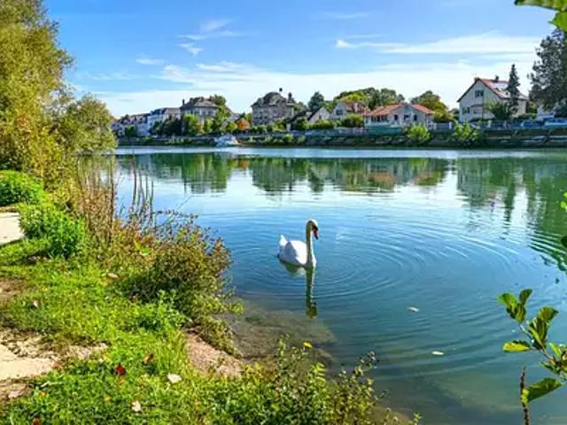 Appartement vente à Torcy, Pomponne