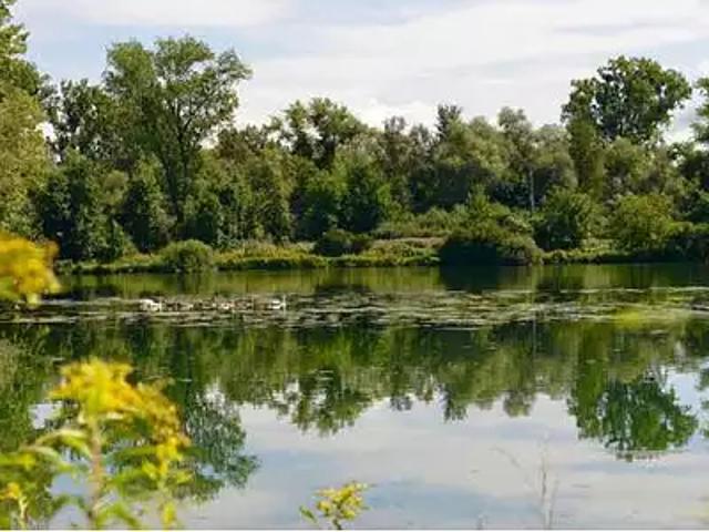 Appartement vente à Strasbourg, Hoenheim