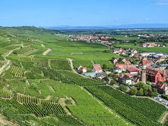 Appartement vente à Colmar-Ribeauvillé, Wintzenheim