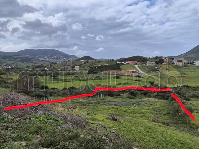 Terrain vente à El Fahs, Tanger-Tétouan