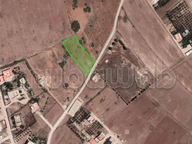 Terrain vente à Selouane