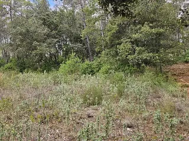 Maison vente à Arrondissement de Draguignan, Bagnols-en-forêt
