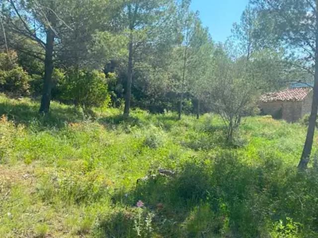 Maison vente à Narbonne, Bize-minervois