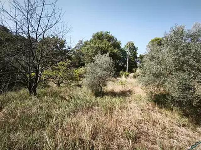 Maison vente à Brignoles