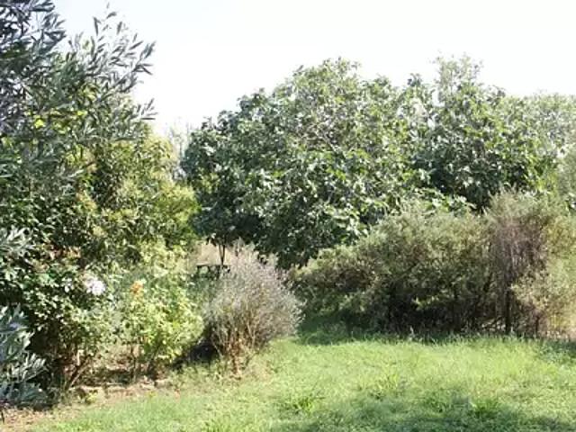 Maison vente à Carcassonne, Castelnaudary