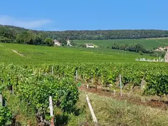 Maison vente à Chalon-sur-Saône, Chenôves