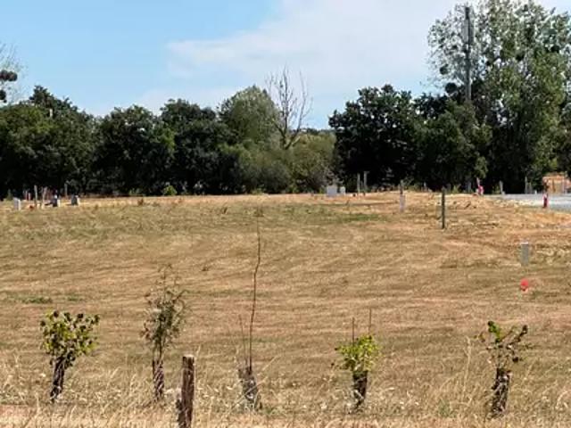 Maison vente à Mayenne, Commer