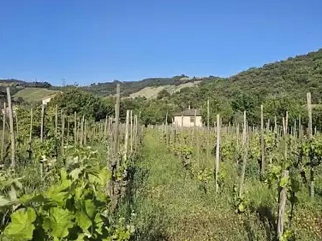 Maison vente à Tournon-sur-Rhône, Cornas
